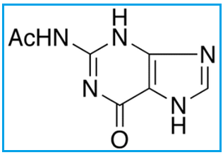 N2-ACETYLGUANINE